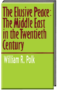 The Elusive Peace: The Middle East in the Twentieth Century Book